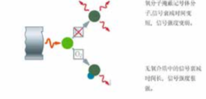 1661820655362944.png image.png